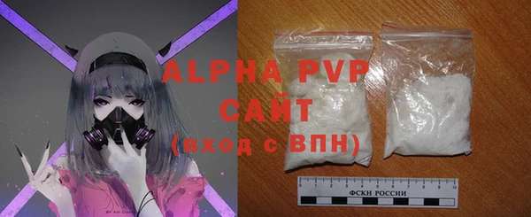 амф Верхний Тагил