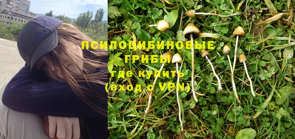 амф Верхний Тагил