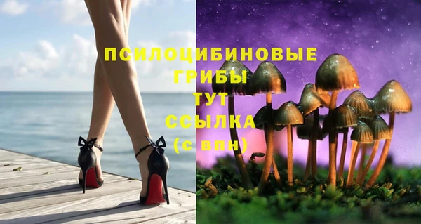 СК Верея